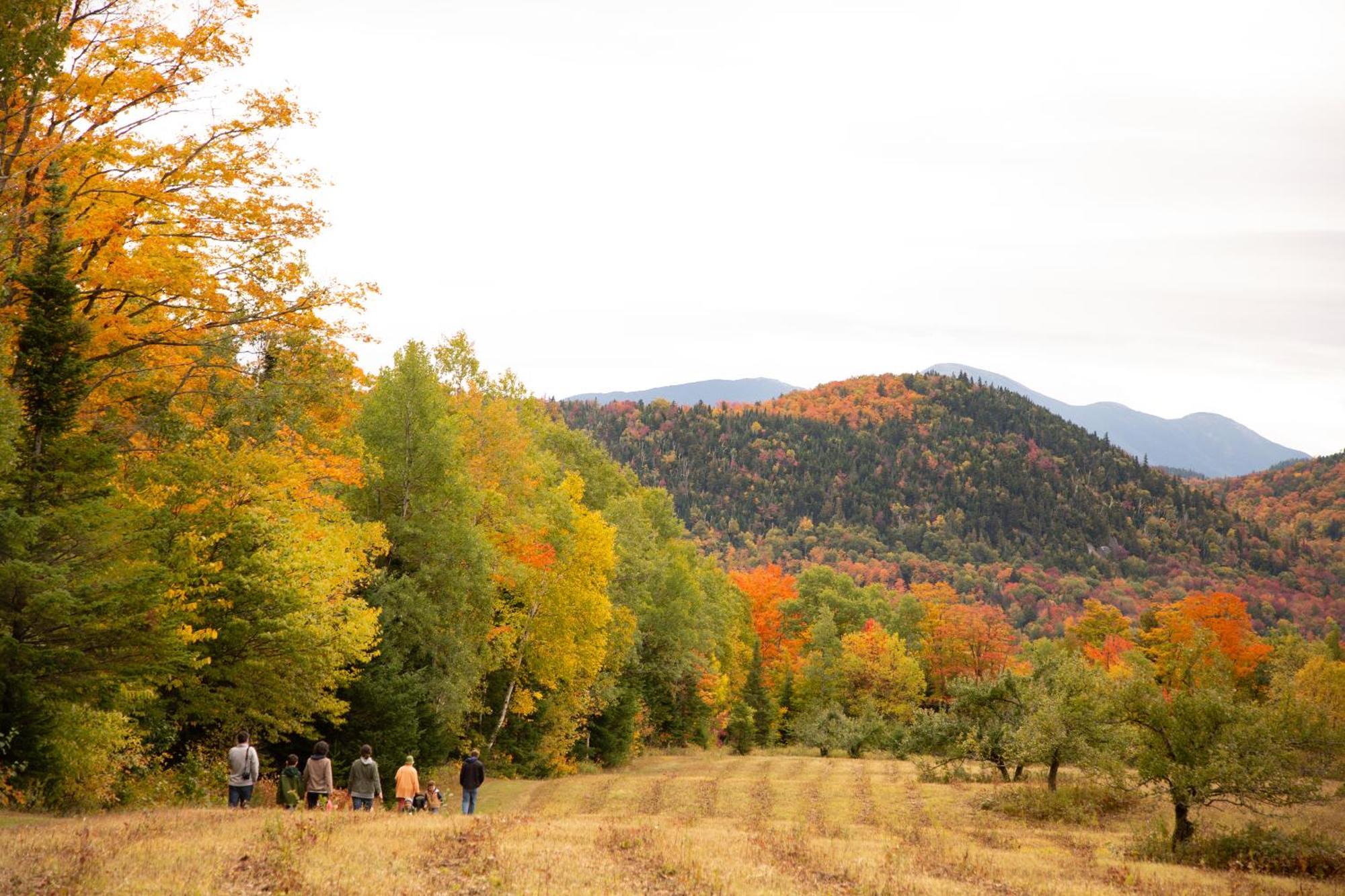 Inn Placid Inn: Main Street Lake Placid