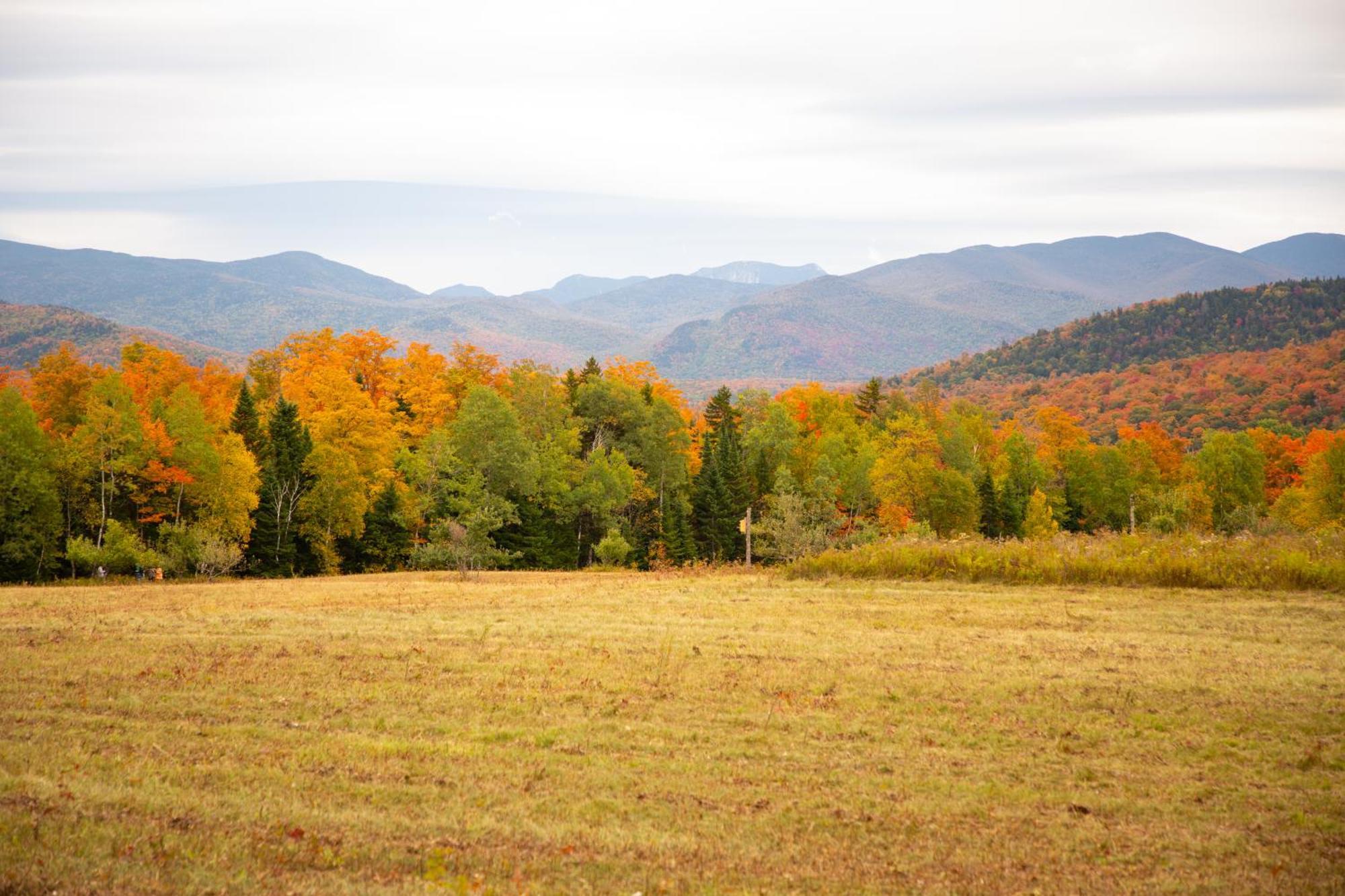 Placid Inn: Main Street Lake Placid